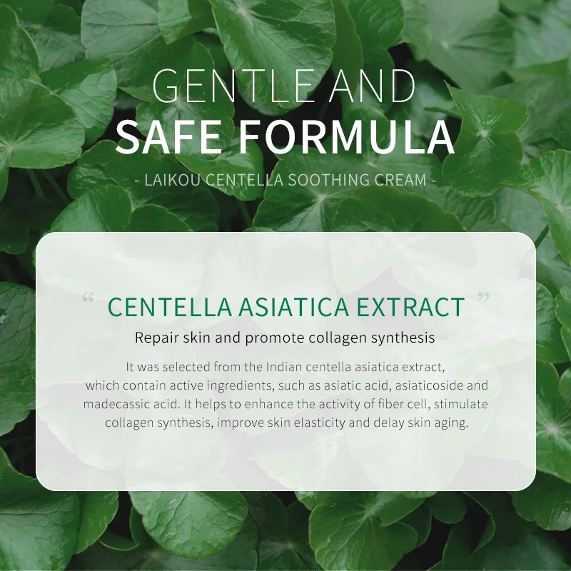 Centella Facial Cleanser Face  – Face Wash Mens Bewertung und Preis